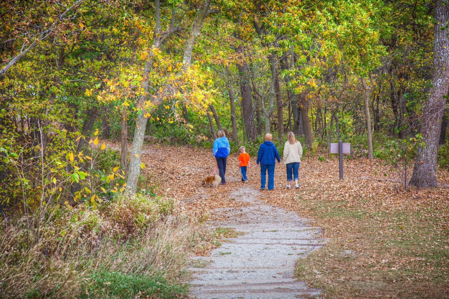 Waubonsie State Park is a top pick for hiking  |  Iowa DNR